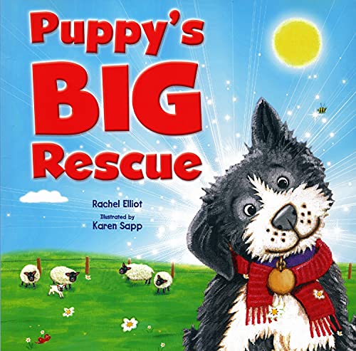 Stock image for Puppys Big Rescue (Picture Flats - Igloo Books Ltd) for sale by Reuseabook