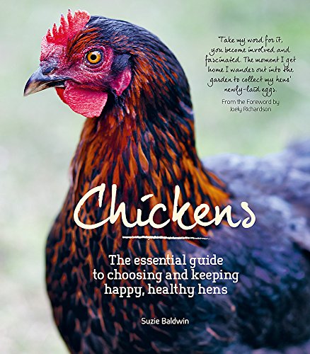 Stock image for Chickens for sale by WorldofBooks