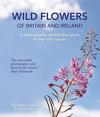 Stock image for Wild Flowers of Britain and Ireland: A photographic identification guide to over 600 species for sale by WorldofBooks