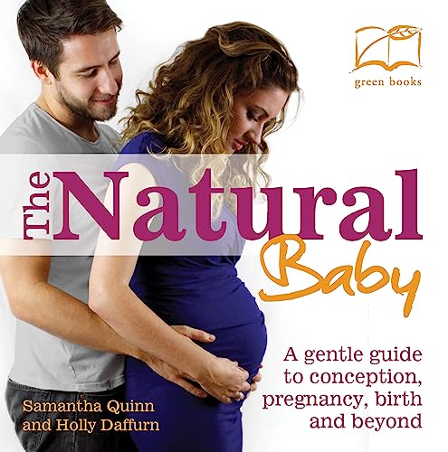 Imagen de archivo de The Natural Baby: A Gentle Guide to Conception, Pregnancy, Birth and Beyond a la venta por ThriftBooks-Dallas