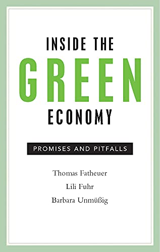 Beispielbild fr Inside The Green Economy: Promises and Pitfalls zum Verkauf von Academybookshop