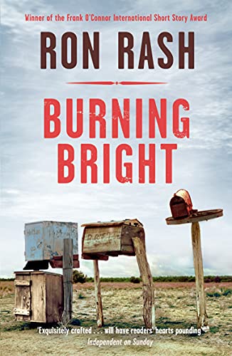 Beispielbild fr Burning Bright zum Verkauf von WorldofBooks