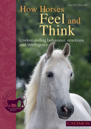 9780857880000: How Horses Feel and Think: Understanding Behaviour, Emotions and Intelligence (Bringing You Closer)