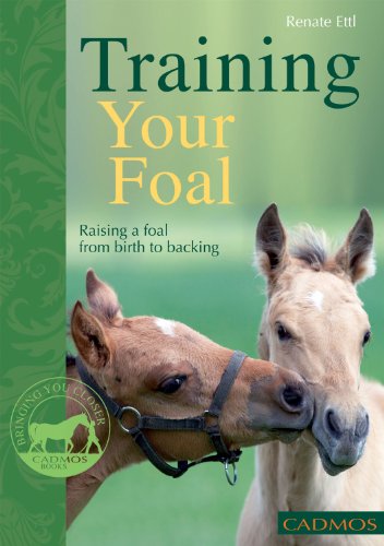 Stock image for Training Your Foal: Raising a Foal from Birth to Backing for sale by WorldofBooks