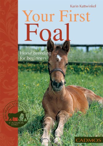 Beispielbild fr Your First Foal: Horse Breeding for Beginners (Bringing You Closer) zum Verkauf von WorldofBooks