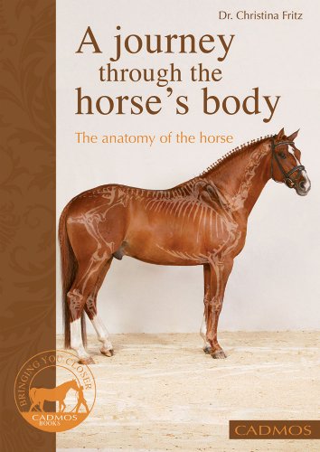 Beispielbild fr A Journey Through the Horse's Body: The Anatomy of the Horse zum Verkauf von WorldofBooks