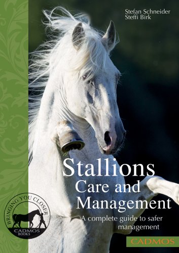 Stallions Care And Management A Complete Guide To Safer