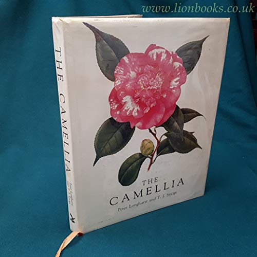 9780858355637: The Camellia