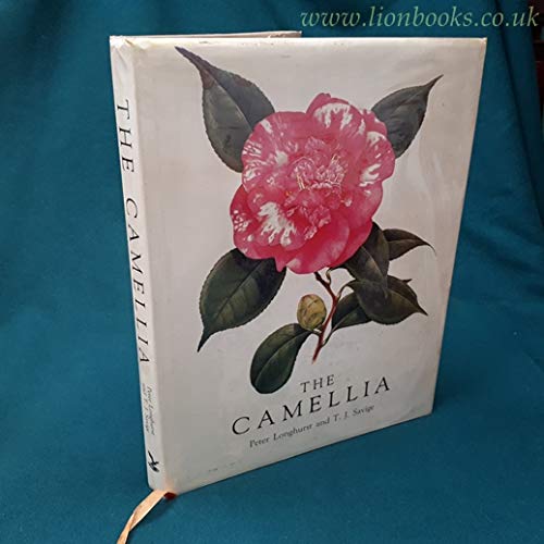 Stock image for The Camellia : Fifty-three paintings by Peter Longhurst for sale by About Books