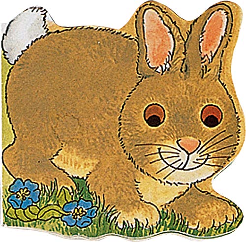 Imagen de archivo de Pocket Bunny (Pocket Pals) a la venta por Books Unplugged