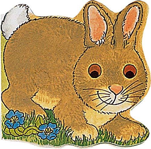 Stock image for Pocket Bunny (Pocket Pals) for sale by Books Unplugged