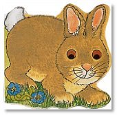 Beispielbild fr Bunny zum Verkauf von ThriftBooks-Dallas