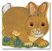 Stock image for Bunny for sale by ThriftBooks-Atlanta