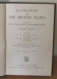 Stock image for ILLUSTRATIONS OF THE BRITISH FLORA for sale by ThriftBooks-Dallas