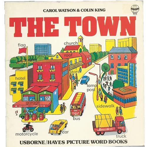 9780860203926: THE TOWN (Picture Word Bks.)