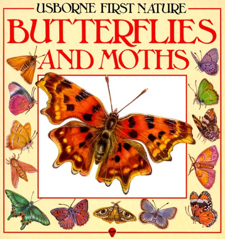 9780860204770: Butterflies and Moths (Usborne First Nature)