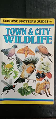 Imagen de archivo de Town and City Wild Life (Spotter's Guide) a la venta por WorldofBooks