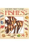 9780860206262: Usborne First Nature: Fishes