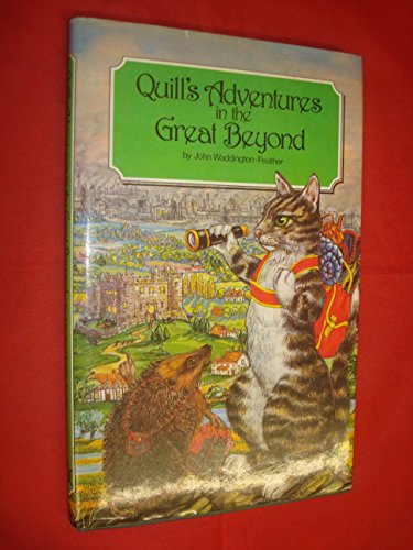 Stock image for Quill's Adventures in the Great Beyond for sale by WorldofBooks