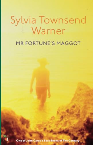 9780860680437: Mr Fortune's Maggot (Virago Modern Classics)