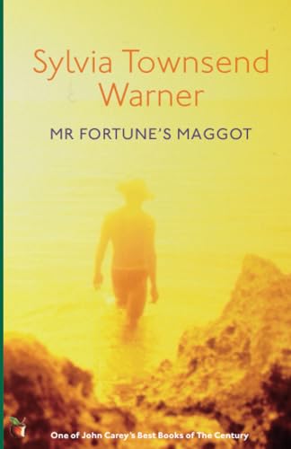 Imagen de archivo de Mr Fortune's Maggot a la venta por Better World Books: West