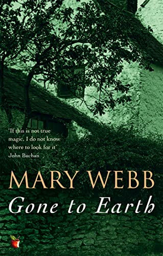 Gone to Earth (Virago Modern Classics) (9780860681434) by Webb, Mary