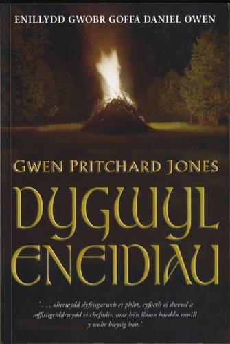 Stock image for Dygwyl Eneidiau - Enillydd Gwobr Goffa Daniel Owen 2006 for sale by WorldofBooks