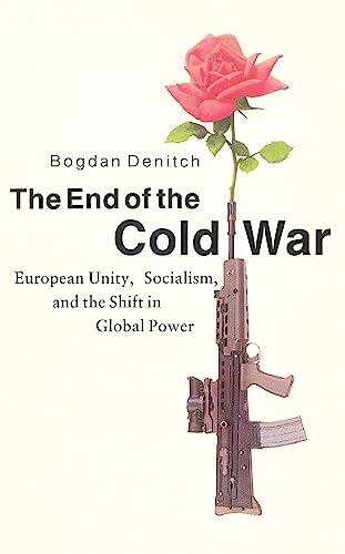 Stock image for The End of the Cold War for sale by THE SAINT BOOKSTORE