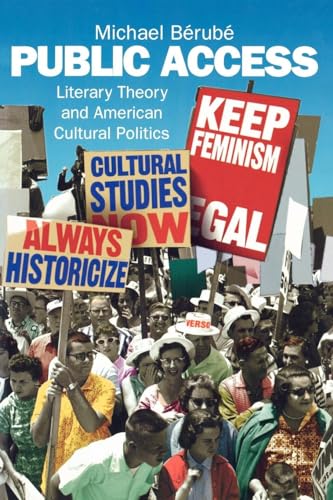 9780860916789: Public Access: Literary Theory and American Cultural Politics