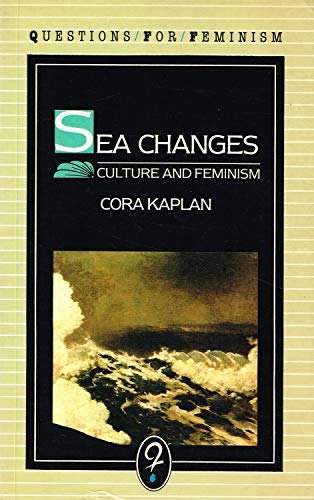 Beispielbild fr Sea Changes: Culture and Feminism (Questions for Feminism) zum Verkauf von Wonder Book