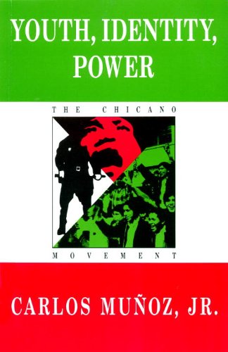 Stock image for Youth, Identity, Power : The Chicano Movement for sale by Better World Books