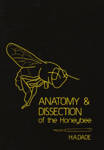 9780860982142: Anatomy and Dissection of the Honeybee