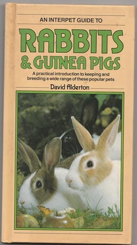 Stock image for Pet-keeper's Guide to Rabbits and Guinea Pigs for sale by HPB-Emerald