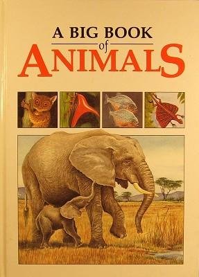 Stock image for Title: A Big Book of Animals for sale by WorldofBooks