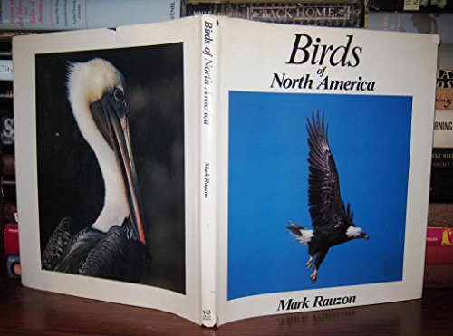 Stock image for Birds of North America for sale by Wonder Book