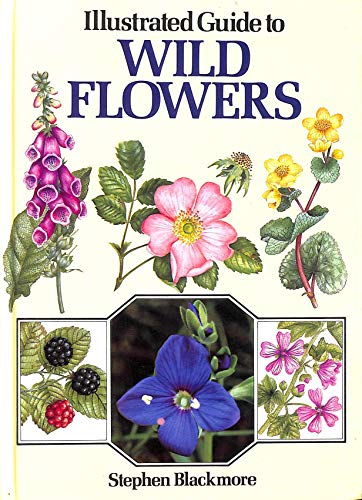 Beispielbild fr ILLUSTRATED GUIDE TO WILD FLOWERS. zum Verkauf von AwesomeBooks