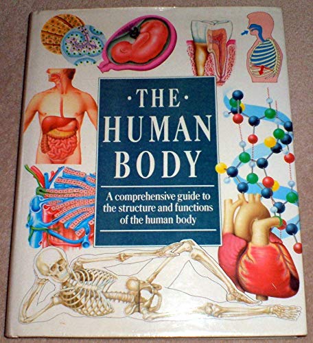 Stock image for The Human Body for sale by Hay-on-Wye Booksellers