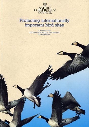 9780861396337: Protecting Internationally Important Bird Sites: A Review of EEC Special Protected Area Network in Great Britain