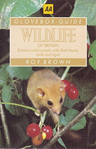 Stock image for Wildlife of Britain for sale by Wonder Book