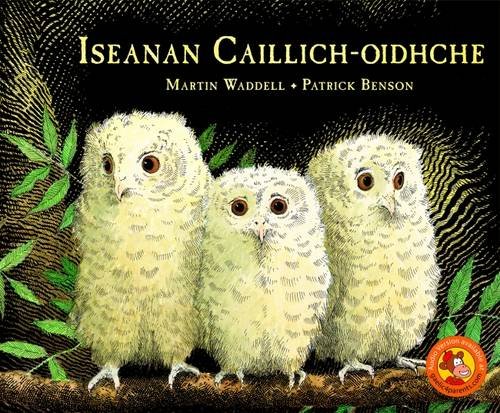 Stock image for Iseanan Caillich-Oidhche for sale by Reuseabook