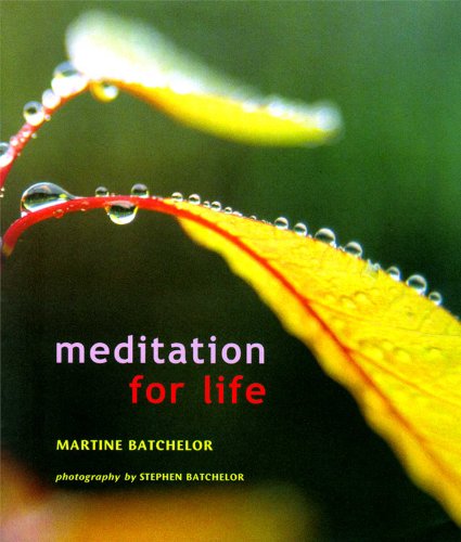 Imagen de archivo de Meditation for Life a la venta por Ergodebooks