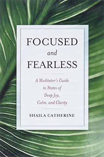 FOCUSED AND FEARLESS: A Meditators Guide to States Of Dee; Joy, Calm & Clarity