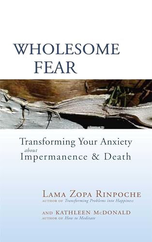 Beispielbild fr Wholesome Fear: Transforming Your Anxiety About Impermanence and Death zum Verkauf von SecondSale