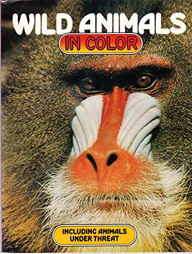 Stock image for Wild Animals for sale by Alf Books