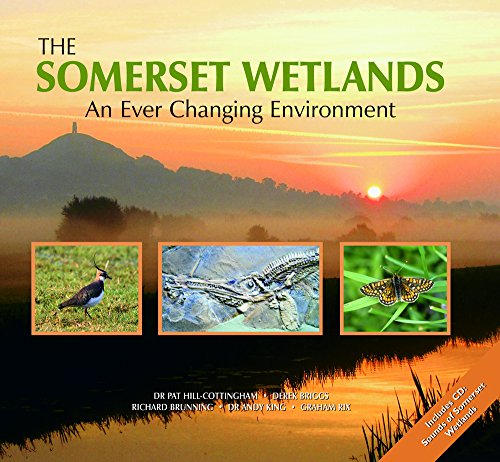 The Somerset Wetlands: An Ever Changing Environment - Dr Pat Hill-Cottingham, Derek Briggs, Richard Brunning, Dr Andy King & Graham Rix [editors]
