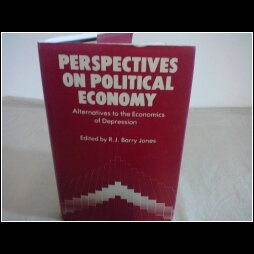 Beispielbild fr Perspectives on Political Economy zum Verkauf von Anybook.com