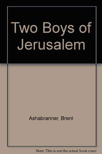 Stock image for Two Boys of Jerusalem for sale by RIVERLEE BOOKS