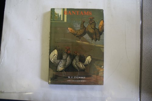 Beispielbild fr Bantams zum Verkauf von Anybook.com