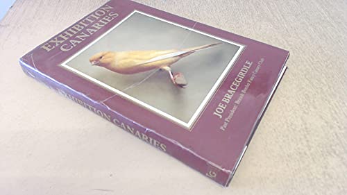 Beispielbild fr Exhibition Canaries zum Verkauf von WorldofBooks