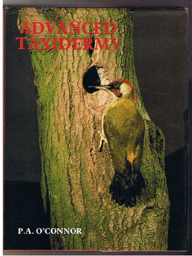 Imagen de archivo de Advanced Taxidermy a la venta por Xochi's Bookstore & Gallery